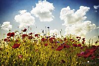 World & Travel: Nature landscapes by Lars Van De Goor