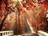 TopRq.com search results: Nature landscapes by Lars Van De Goor