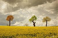 TopRq.com search results: Nature landscapes by Lars Van De Goor