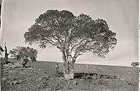 History: American Old West, United States