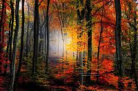 World & Travel: world travel landscape photography