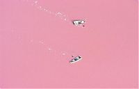 TopRq.com search results: Lake Retba, Lac Rose, Dakar, Senegal