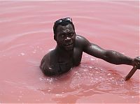 World & Travel: Lake Retba, Lac Rose, Dakar, Senegal