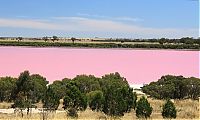 TopRq.com search results: Lake Retba, Lac Rose, Dakar, Senegal