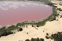 TopRq.com search results: Lake Retba, Lac Rose, Dakar, Senegal