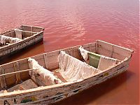 TopRq.com search results: Lake Retba, Lac Rose, Dakar, Senegal