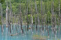 World & Travel: Aoiike, Blue Pond, Biei, Shirogane Onsen, Kamikawa (Ishikari) District, Hokkaido, Japan