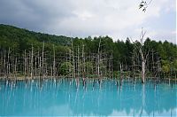 World & Travel: Aoiike, Blue Pond, Biei, Shirogane Onsen, Kamikawa (Ishikari) District, Hokkaido, Japan