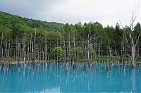 World & Travel: Aoiike, Blue Pond, Biei, Shirogane Onsen, Kamikawa (Ishikari) District, Hokkaido, Japan