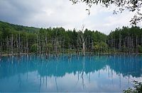 TopRq.com search results: Aoiike, Blue Pond, Biei, Shirogane Onsen, Kamikawa (Ishikari) District, Hokkaido, Japan