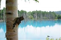 World & Travel: Aoiike, Blue Pond, Biei, Shirogane Onsen, Kamikawa (Ishikari) District, Hokkaido, Japan