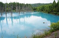 World & Travel: Aoiike, Blue Pond, Biei, Shirogane Onsen, Kamikawa (Ishikari) District, Hokkaido, Japan