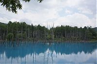 World & Travel: Aoiike, Blue Pond, Biei, Shirogane Onsen, Kamikawa (Ishikari) District, Hokkaido, Japan