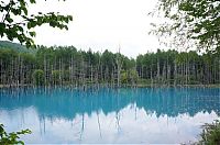 TopRq.com search results: Aoiike, Blue Pond, Biei, Shirogane Onsen, Kamikawa (Ishikari) District, Hokkaido, Japan