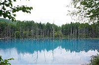 World & Travel: Aoiike, Blue Pond, Biei, Shirogane Onsen, Kamikawa (Ishikari) District, Hokkaido, Japan