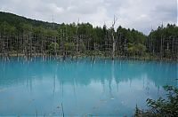 World & Travel: Aoiike, Blue Pond, Biei, Shirogane Onsen, Kamikawa (Ishikari) District, Hokkaido, Japan