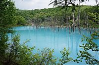 World & Travel: Aoiike, Blue Pond, Biei, Shirogane Onsen, Kamikawa (Ishikari) District, Hokkaido, Japan