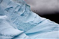 World & Travel: The Last Iceberg by Camille Seaman