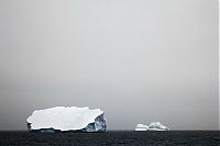 TopRq.com search results: The Last Iceberg by Camille Seaman