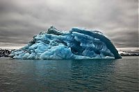 TopRq.com search results: The Last Iceberg by Camille Seaman