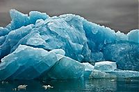 TopRq.com search results: The Last Iceberg by Camille Seaman