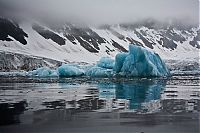 TopRq.com search results: The Last Iceberg by Camille Seaman