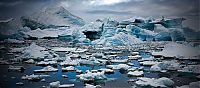 TopRq.com search results: The Last Iceberg by Camille Seaman