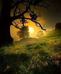 TopRq.com search results: Cheshire, County Palatine of Chester, North West England county, United Kingdom