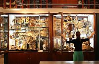 TopRq.com search results: Grant Museum of Zoology and Comparative Anatomy, University College London, England, United Kingdom