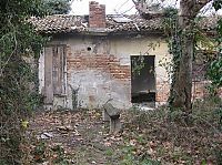 World & Travel: Island of Poveglia, Venice, Lido, Venetian Lagoon, Italy