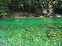 Yakusugi Forest, Yakushima island, Kagoshima Prefecture, Japan