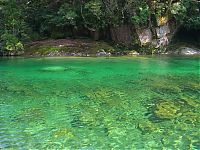 World & Travel: Yakusugi Forest, Yakushima island, Kagoshima Prefecture, Japan