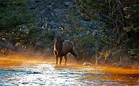 World & Travel: Yellowstone National Park, Wyoming, Idaho, Montana, United States