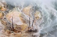 TopRq.com search results: Yellowstone National Park, Wyoming, Idaho, Montana, United States