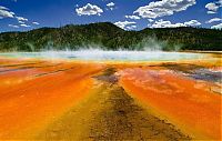 TopRq.com search results: Yellowstone National Park, Wyoming, Idaho, Montana, United States