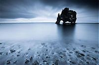 TopRq.com search results: Dynosaur Rock Hvítserkur, Vatnsnes, Iceland