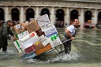 TopRq.com search results: 2012 Floods, Venice, Italy