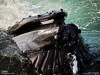 World & Travel: National Geographic Photography