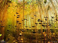 World & Travel: National Geographic Photography