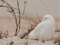 World & Travel: National Geographic Photography