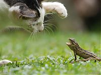 World & Travel: National Geographic Photography