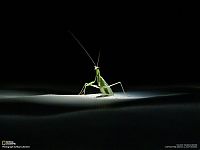 World & Travel: National Geographic Photography