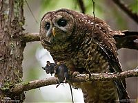 World & Travel: National Geographic Photography