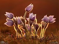 World & Travel: National Geographic Photography