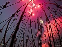 World & Travel: National Geographic Photography