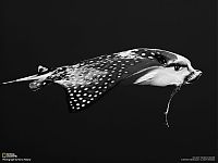 World & Travel: National Geographic Photography