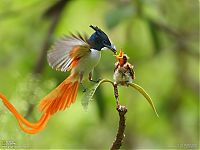 World & Travel: National Geographic Photography