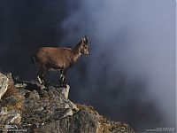 World & Travel: National Geographic Photography