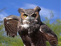 World & Travel: National Geographic Photography