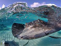 World & Travel: National Geographic Photography